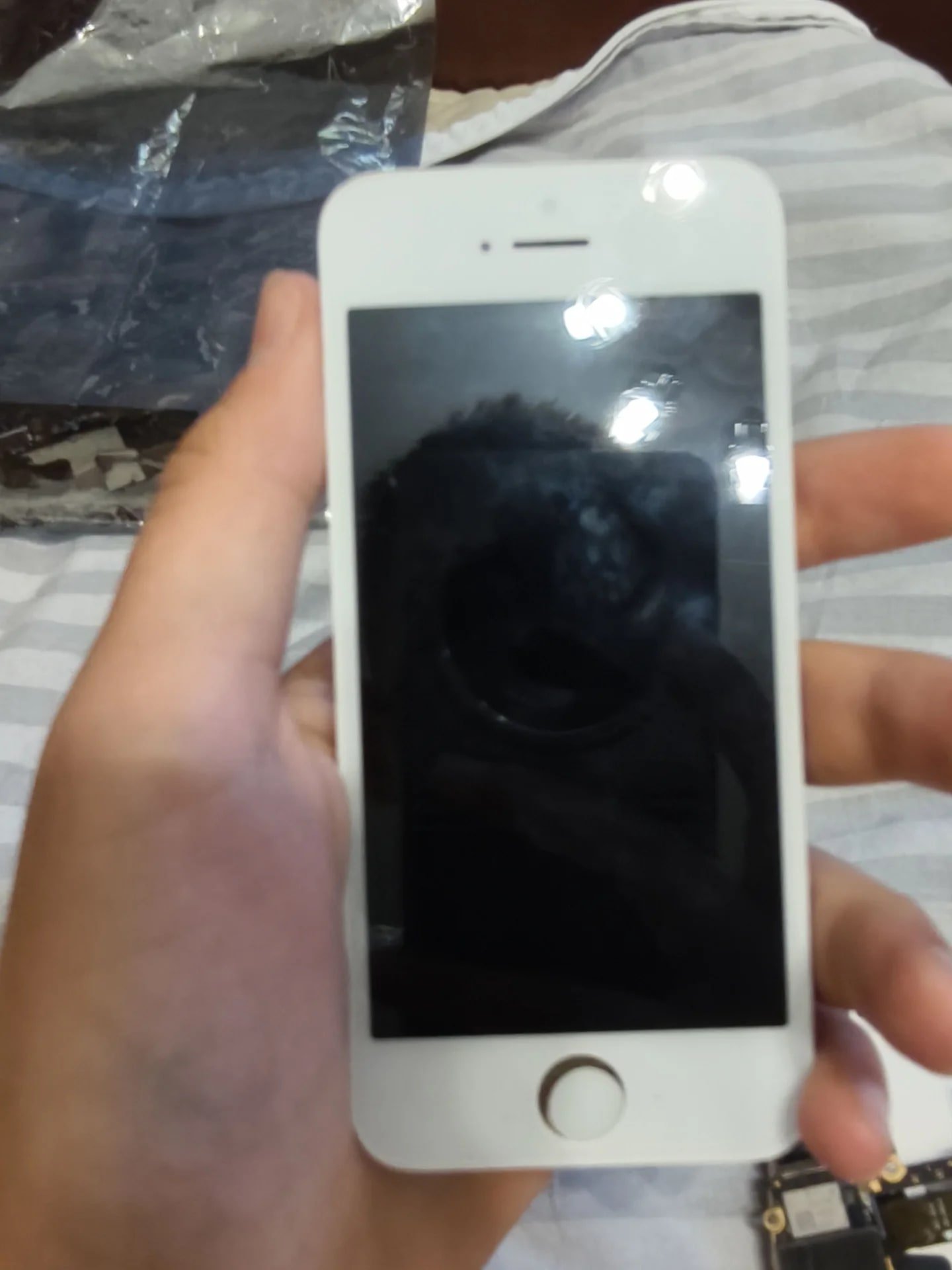 iphone 5s