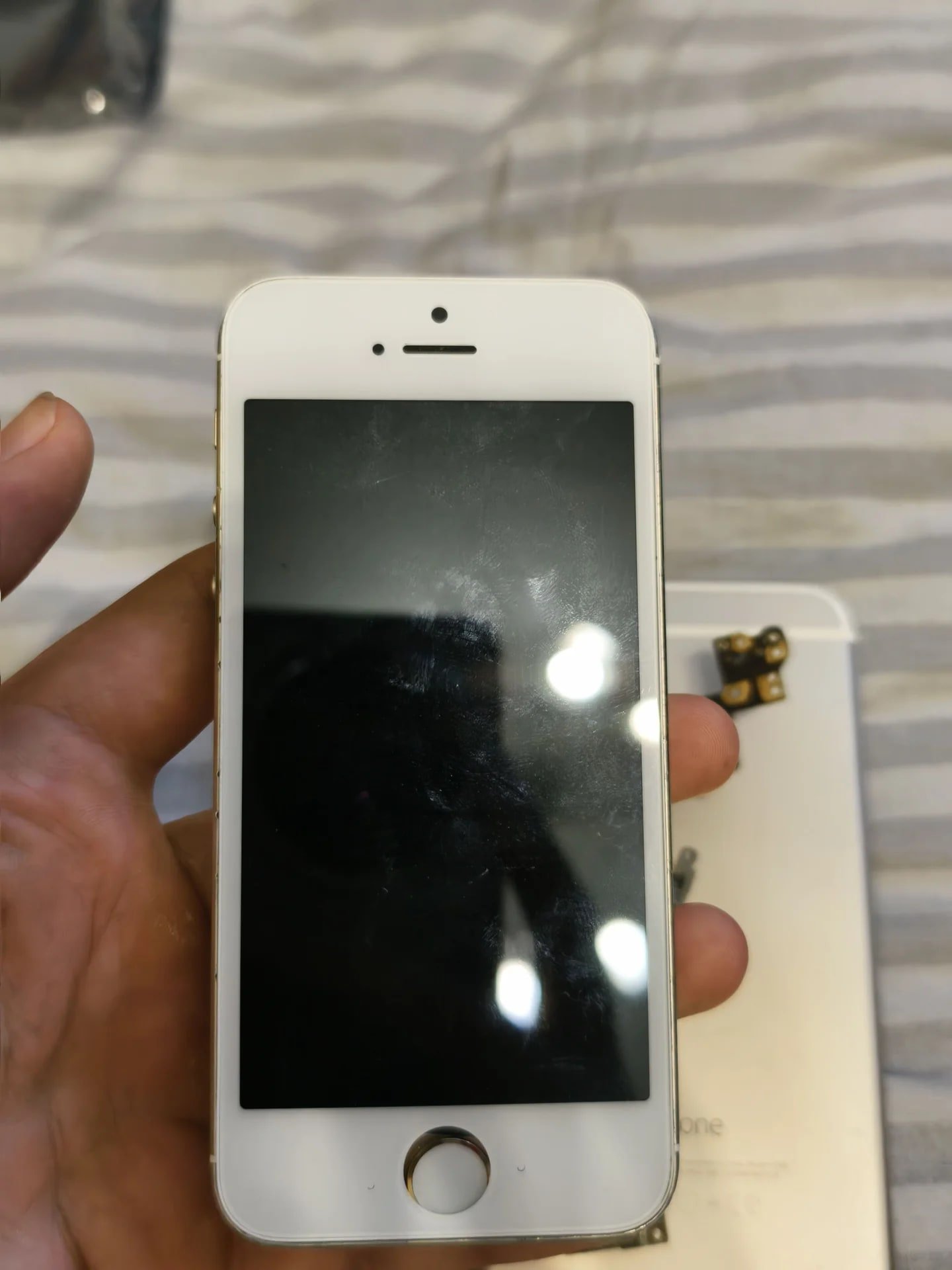 iphone 5s