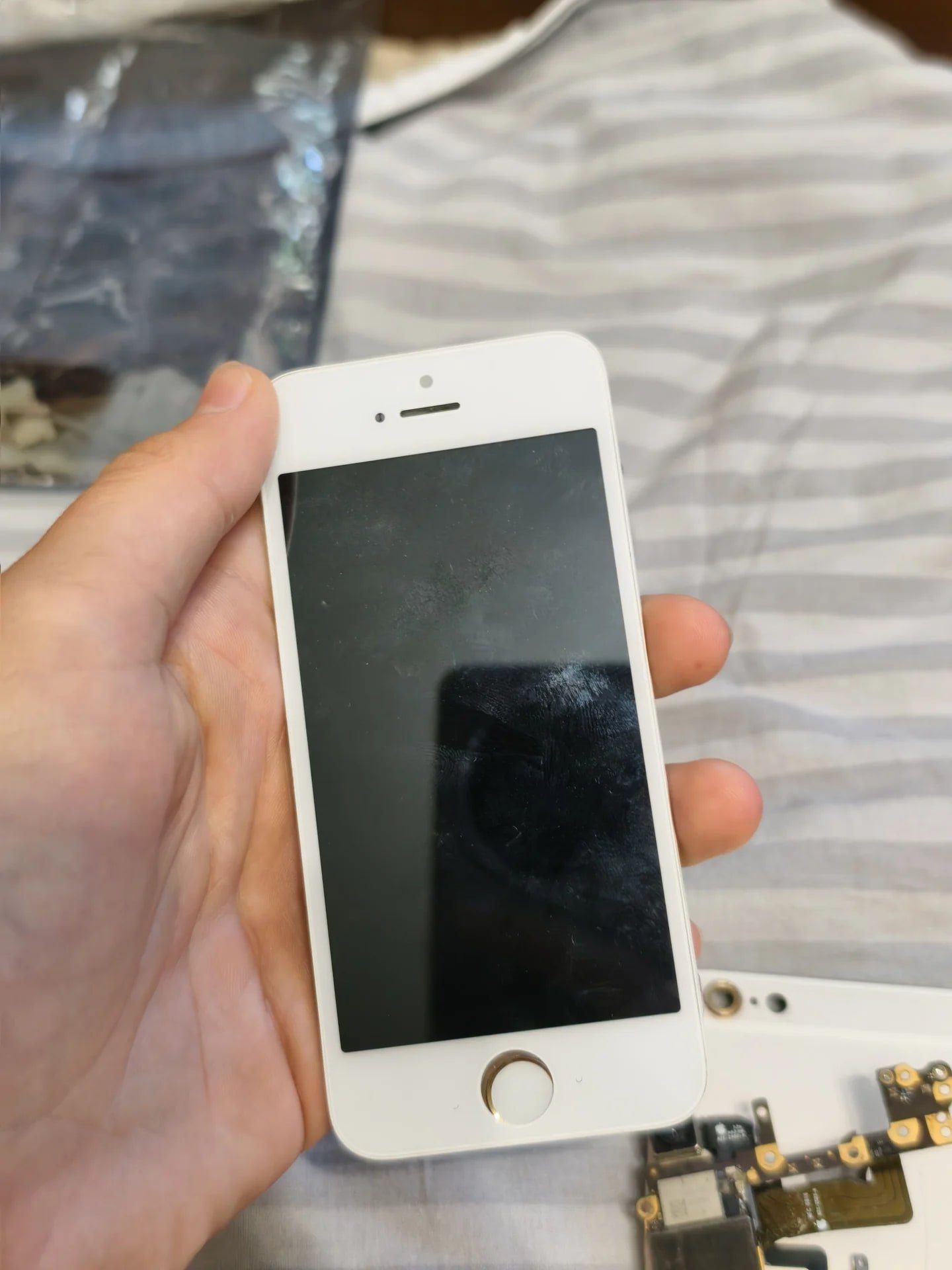 iphone 5s