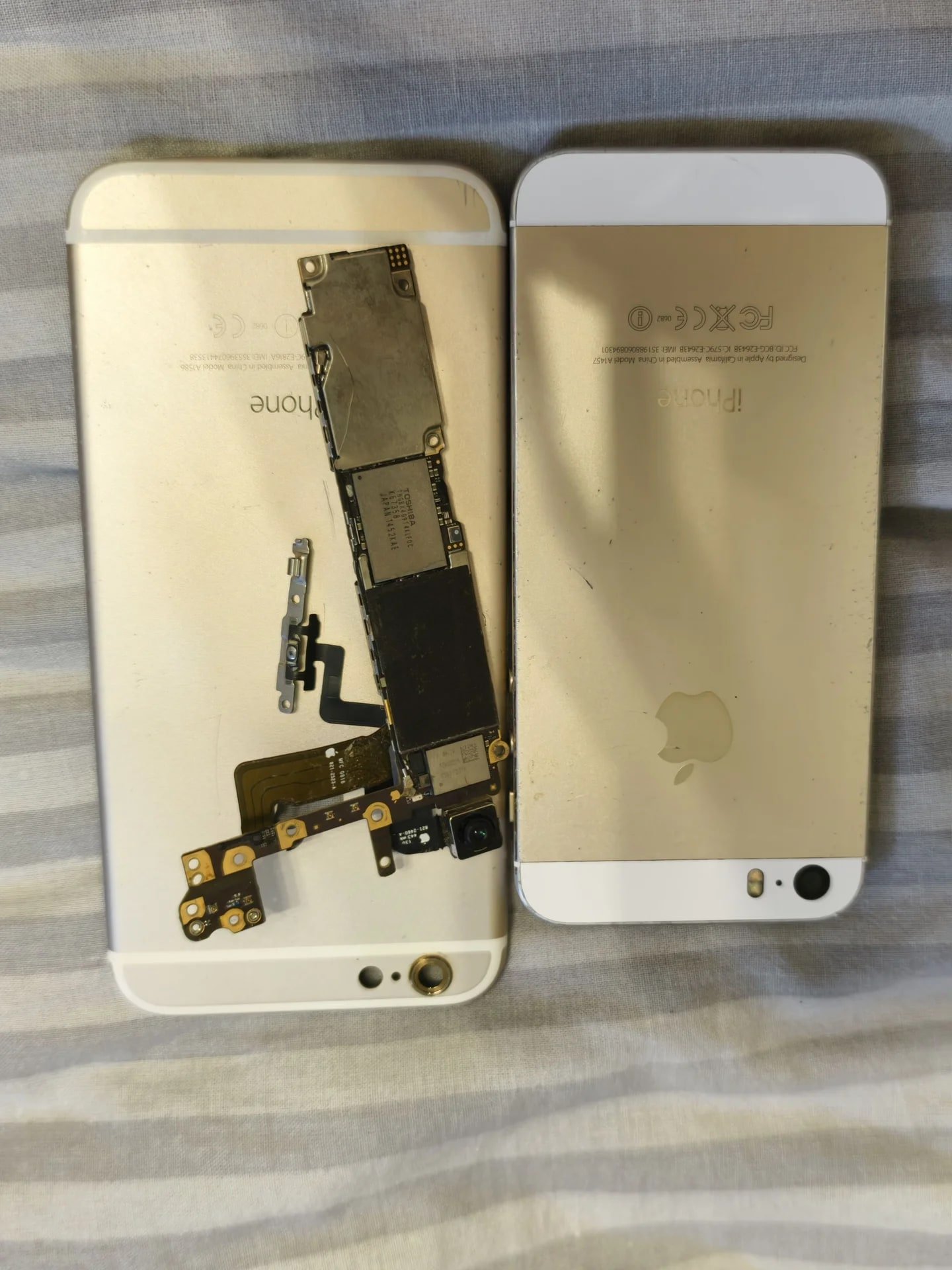 iphone 5s