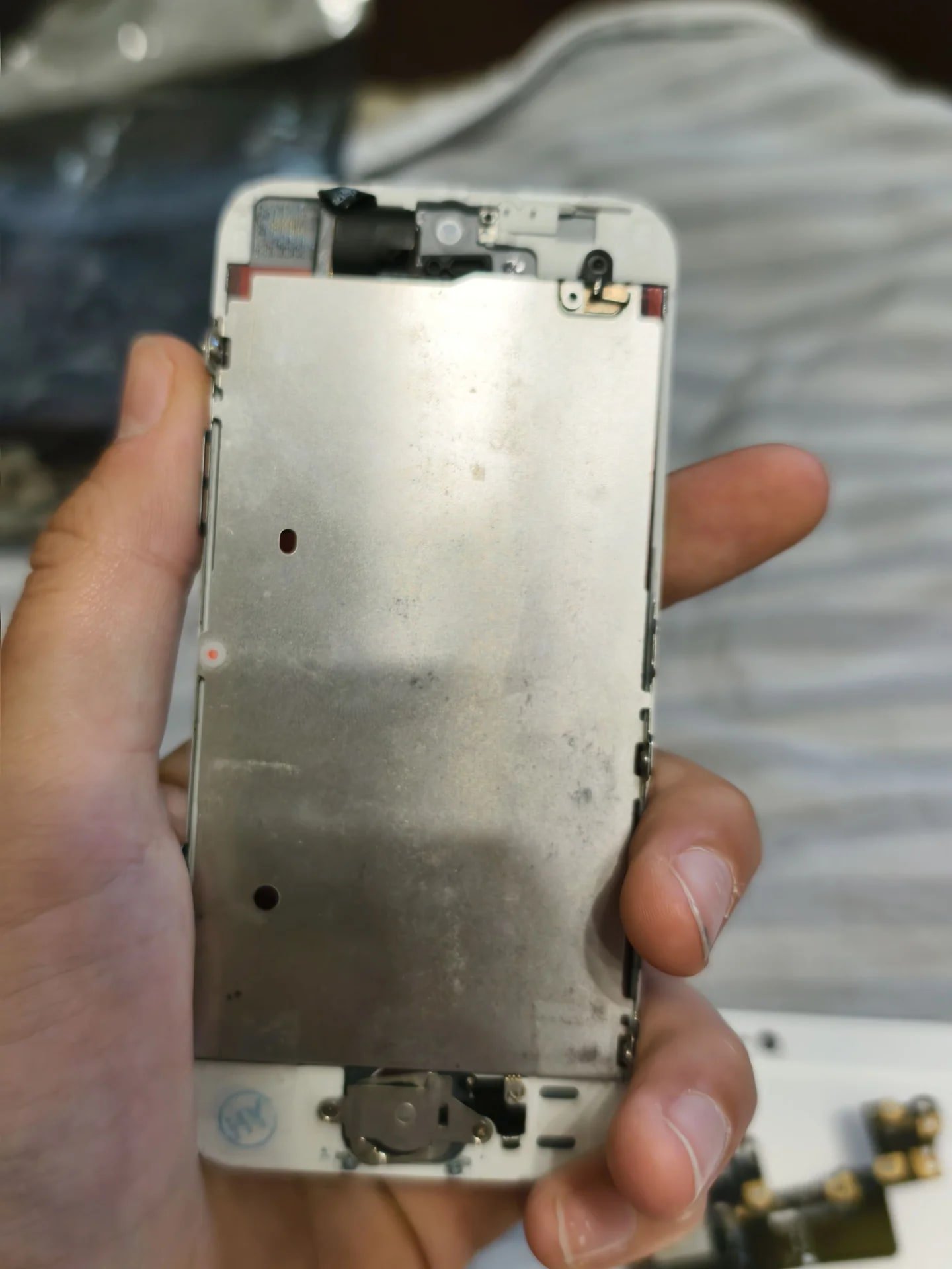 iphone 5s